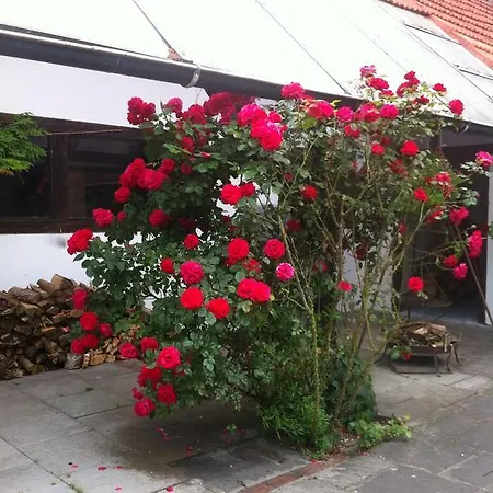 Allee-hof Bockhorn Bed & Breakfast *