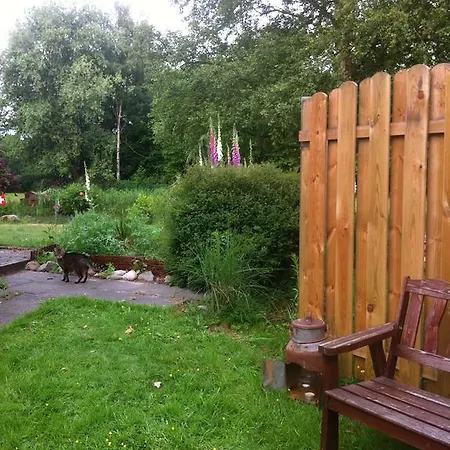 Bed & Breakfast Allee-hof Bockhorn